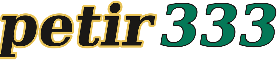 petir333 logo